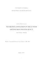 prikaz prve stranice dokumenta NEUROINFLAMMATION IN MICE WITH OPTINEURIN INSUFFICIENCY