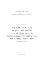 prikaz prve stranice dokumenta The Role of VPS34 and Phosphatidylinositol 3-Monophosphate (PI3P) in Megakaryocyte Maturation and Platelet Production