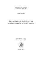 prikaz prve stranice dokumenta MRI guidance in high-dose-rate brachytherapy for prostate cancer