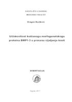 prikaz prve stranice dokumenta Učinkovitost koštanoga morfogenetskoga proteina BMP1-3 u procesu cijeljenja kosti