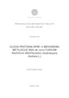 prikaz prve stranice dokumenta Uloga proteina BPM1 u mehanizmu metilacije DNA de novo tijekom razvoja uročnjaka  (Arabidopsis thaliana L.)