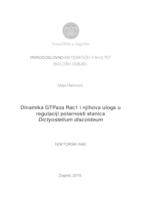 prikaz prve stranice dokumenta Dinamika GTPaza Rac1 i njihova uloga u regulaciji polarnosti stanica Dictyostelium discoideum