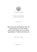 prikaz prve stranice dokumenta Molecular epidemiology of grapevine phytoplasma pathosystems: multilocus sequence typing approach