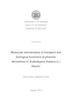 prikaz prve stranice dokumenta Molecular mechanisms of transport and biological functions of phenolic derivatives in Arabidopsis thaliana (L.) Heynh.