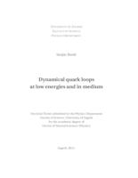 prikaz prve stranice dokumenta Dynamical quark loops at low energies and in medium