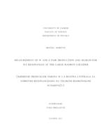 prikaz prve stranice dokumenta Measurement of W and Z pair production and search for WZ resonances at the large hadron collider