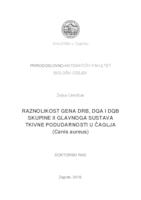 prikaz prve stranice dokumenta Raznolikost gena DRB, DQA i DQB skupine II glavnoga sustava tkivne podudarnosti u čaglja (Canis aureus)