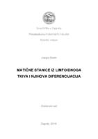 prikaz prve stranice dokumenta Matične stanice iz limfoidnoga tkiva i njihova diferencijacija