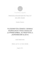 prikaz prve stranice dokumenta Filogenetički odnosi i genska raznolikost roda Squalius (Cypriniformes, Actinopteri) u jadranskom slijevu