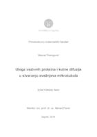 prikaz prve stranice dokumenta Uloga vezivnih proteina i kutne difuzije u stvaranju svežnjeva mikrotubula