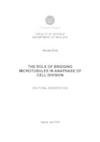 prikaz prve stranice dokumenta The role of bridging microtubules in anaphase of cell division