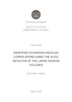 prikaz prve stranice dokumenta Identified di-hadron angular correlations using the ALICE detector at the Large Hadron Collider