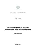 prikaz prve stranice dokumenta Niskodimenzionalni kvantni magnetizam u SeCuO_3 i m-NO_2PhBNO