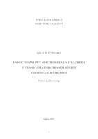 prikaz prve stranice dokumenta Endocitozni put MHC molekula I. razreda u stanicama inficiranim mišjim citomegalovirusom