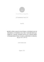 prikaz prve stranice dokumenta MORFOLOŠKA ANALIZA NASTANKA I DIFERENCIJACIJE  NEURONA U STANIČNOJ KULTURI, TIJEKOM RAZVOJA  ZAMETKA I NAKON TRANSPLANTACIJE U MOZAK MIŠA  UPORABOM MATIČNIH STANICA DOBIVENIH IZ MIŠJEG  SOJA THY1 YFP-16 