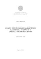 prikaz prve stranice dokumenta UČINAK DEZINFICIJENSA NA BAKTERIJU  PAENIBACILLUS LARVAE U  LABORATORIJSKIM UVJETIMA